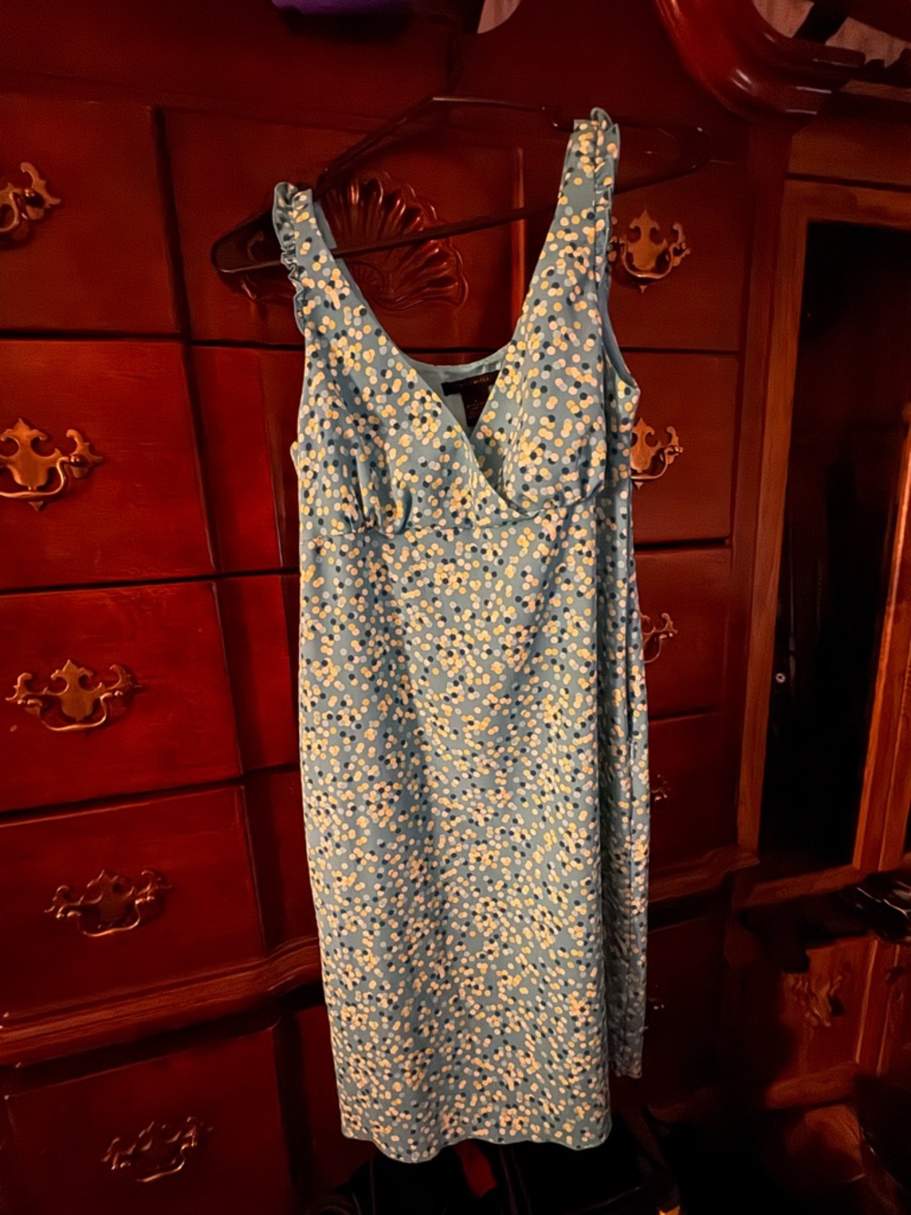 The Limited Blue Floral-Print Midi Dress